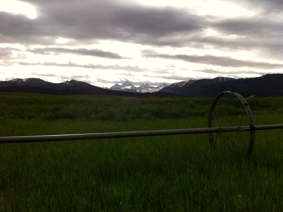 Green farm field with an irrigation pivot and the Tetons on the horizon near Tetonia