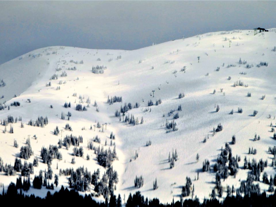 Snow-covered ski slopes and trees at Grand Targhee in winter
