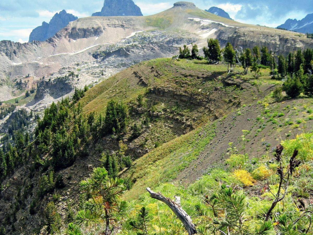 A trail through green alpine meadow toward Table Mountain with the Teton peaks behind