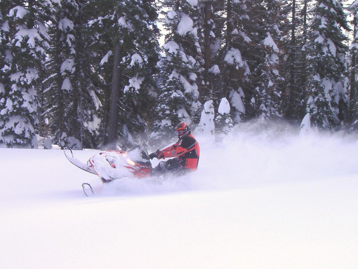A snowmobiler carving through deep powder among snow-covered evergreens